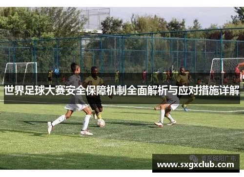 世界足球大赛安全保障机制全面解析与应对措施详解