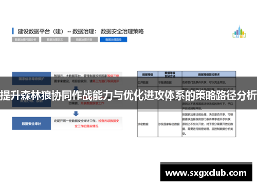 提升森林狼协同作战能力与优化进攻体系的策略路径分析