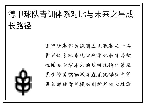 德甲球队青训体系对比与未来之星成长路径